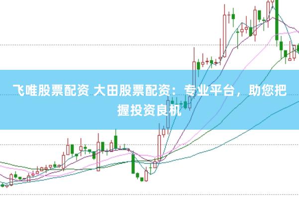 飞唯股票配资 大田股票配资：专业平台，助您把握投资良机