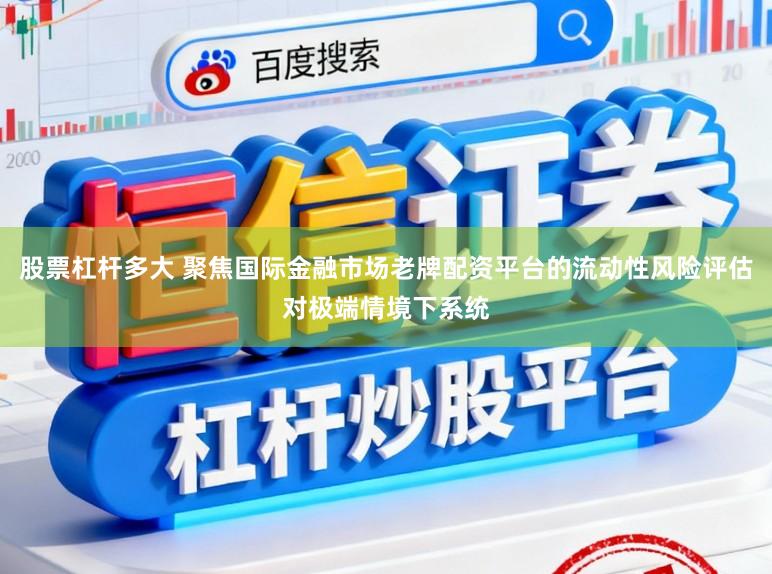 股票杠杆多大 聚焦国际金融市场老牌配资平台的流动性风险评估对极端情境下系统