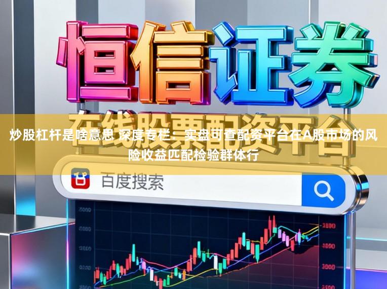 炒股杠杆是啥意思 深度专栏：实盘可查配资平台在A股市场的风险收益匹配检验群体行