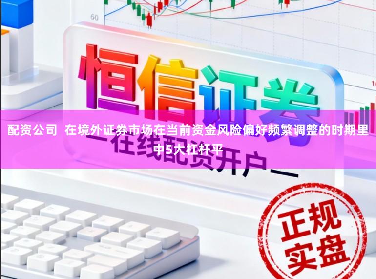 配资公司  在境外证券市场在当前资金风险偏好频繁调整的时期里中5大杠杆平