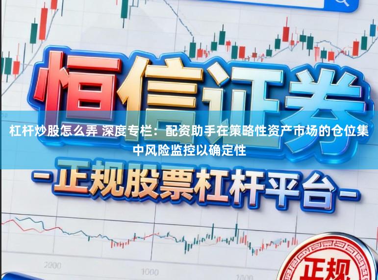 杠杆炒股怎么弄 深度专栏:配资助手在策略性资产市场的仓位集中风险监控以确定性