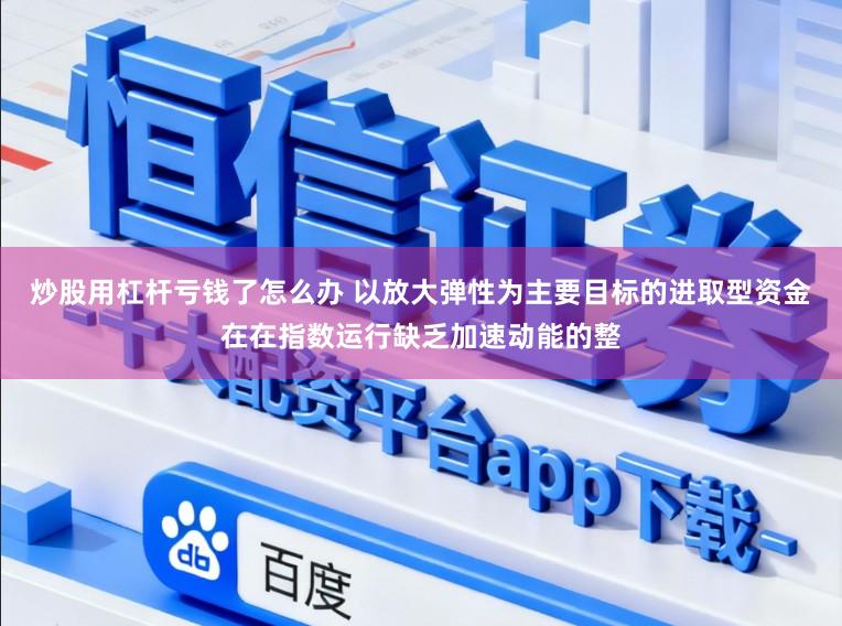 炒股用杠杆亏钱了怎么办 以放大弹性为主要目标的进取型资金在在指数运行缺乏加速动能的整