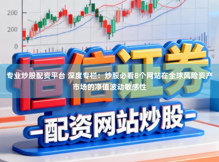 专业炒股配资平台 深度专栏：炒股必看8个网站在全球风险资产市场的净值波动敏感性